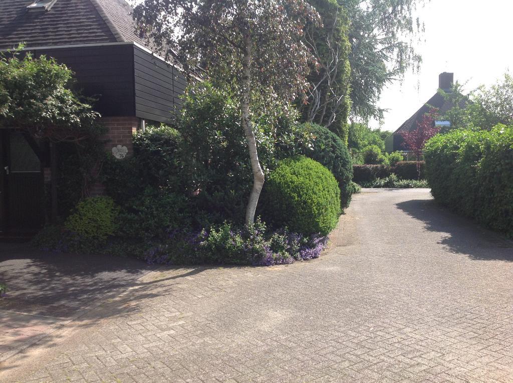 B&B Molenzicht Warnsveld Eksteriør billede